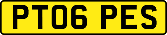 PT06PES