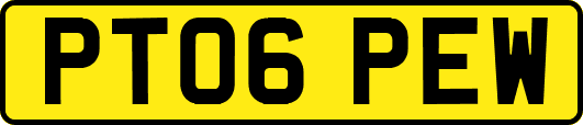 PT06PEW