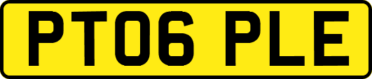 PT06PLE
