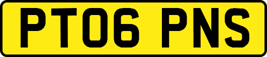 PT06PNS