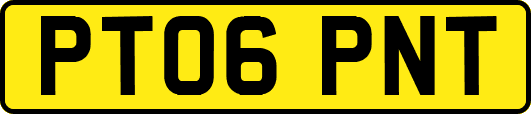 PT06PNT