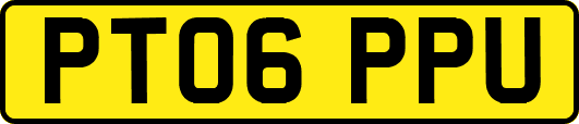PT06PPU