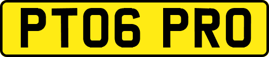 PT06PRO