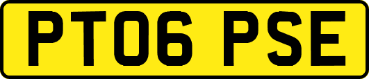 PT06PSE