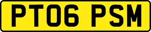 PT06PSM
