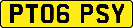 PT06PSY