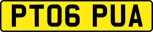 PT06PUA