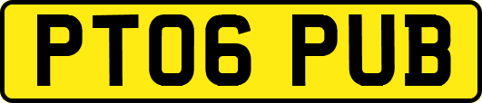 PT06PUB