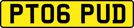 PT06PUD