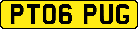 PT06PUG