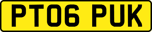 PT06PUK