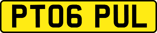 PT06PUL