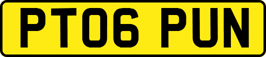PT06PUN