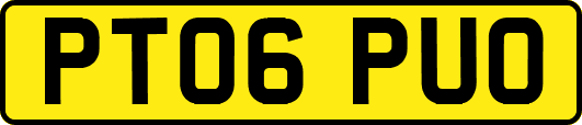PT06PUO