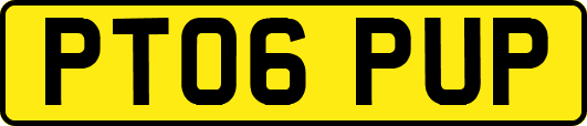 PT06PUP