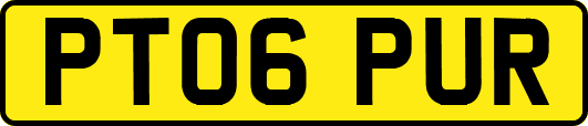 PT06PUR