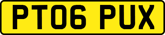PT06PUX