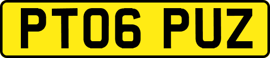PT06PUZ