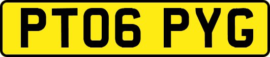 PT06PYG