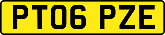 PT06PZE