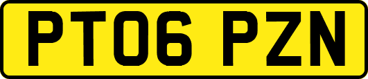 PT06PZN