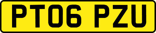 PT06PZU