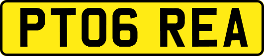 PT06REA