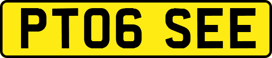 PT06SEE