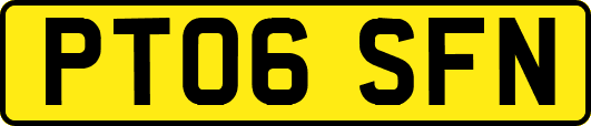 PT06SFN