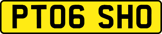 PT06SHO