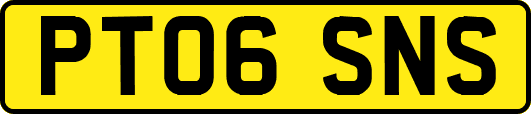 PT06SNS