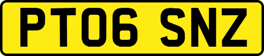 PT06SNZ