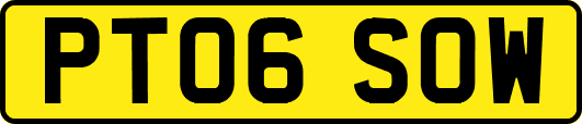 PT06SOW