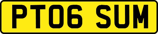 PT06SUM