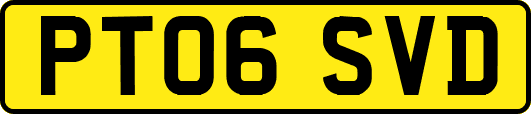 PT06SVD
