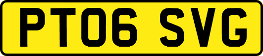PT06SVG