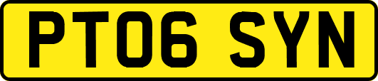 PT06SYN