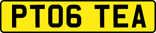PT06TEA