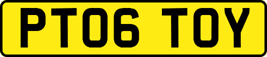 PT06TOY