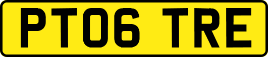 PT06TRE