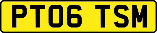 PT06TSM