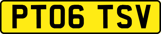 PT06TSV