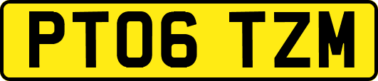 PT06TZM
