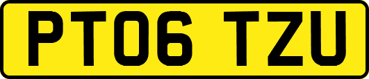 PT06TZU