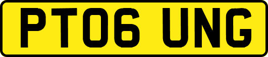 PT06UNG