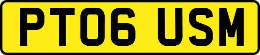 PT06USM