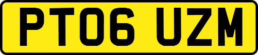 PT06UZM