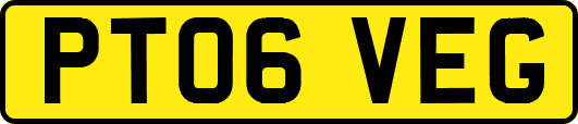 PT06VEG