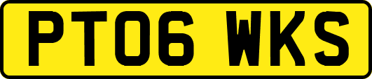 PT06WKS