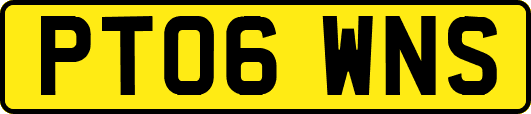 PT06WNS